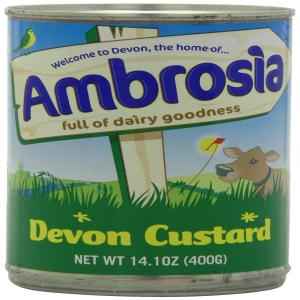 DEVON CUSTARD