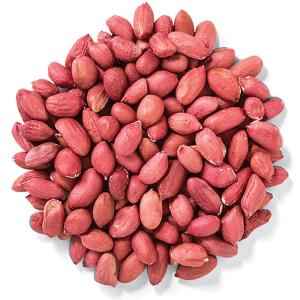 SHRINATH PEANUT RED