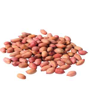 SHRINATH PEANUT RED