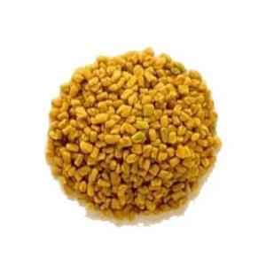 SHRINATH METHI SEED