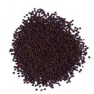 SHRINATH MUSTARD SEEDS