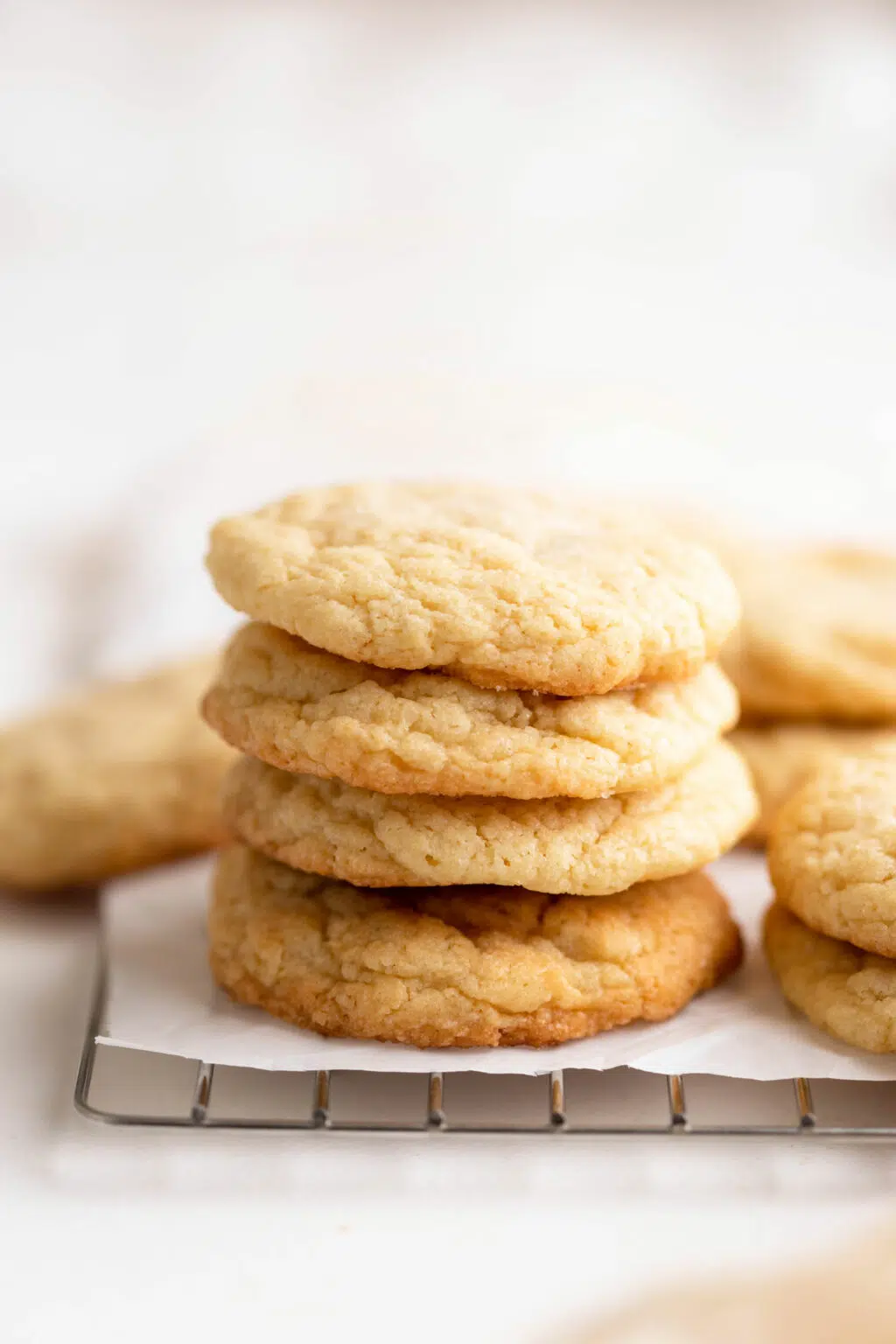CRISPY VEG COOKIESI