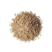 VT CORIANDER SEEDS