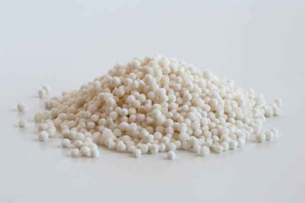 VT SABUDANA