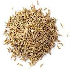 SPICY WORLD CUMIN SEEDS