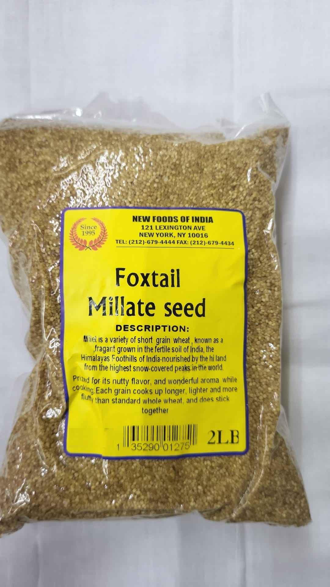 Foxtail Millate Seed
