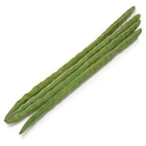 DRUMSTICK