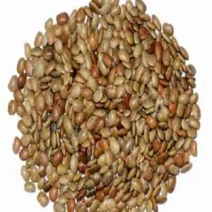 Dhanraj Horse Gram