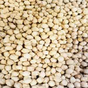 GARBANZO