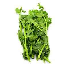 Pui Saag