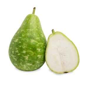 BENGALI SQUASH