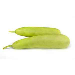 LONG SQUASH
