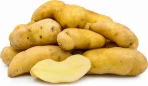 Russet Potato