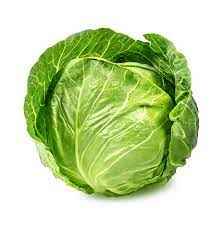 GREEN CABBAGE