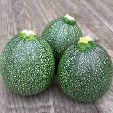 Squash Round