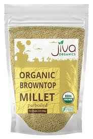 JIVA ORG BROWN TOP MILLET