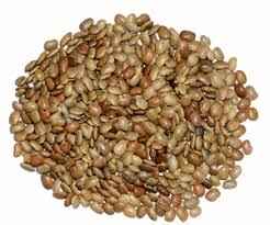 Deep Horse Gram