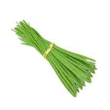 DRUM STICKS