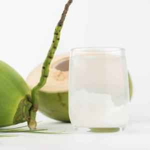 Coconut Drink