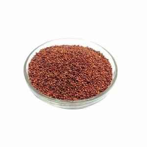 Parboiled Finger Millet (Ragi)