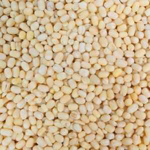 Whole Urad Dal (White)