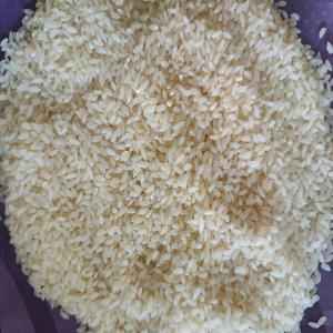 Idly Rice (IR 20)