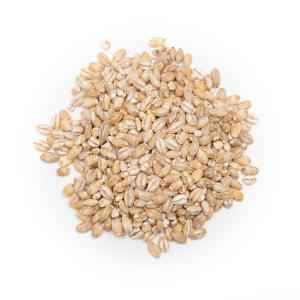 Nirav Pearl Barley