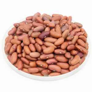 Asli Light Kidney Beans