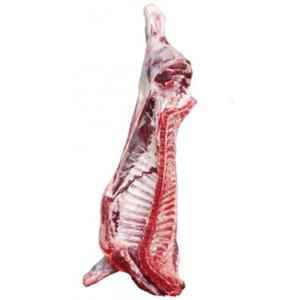 LAMB   Half Baby Lamb