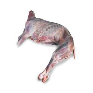 GOAT   Whole Baby Goat
