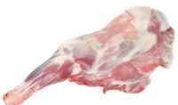 GOAT   Shoulder