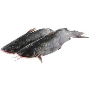 Catfish Whole