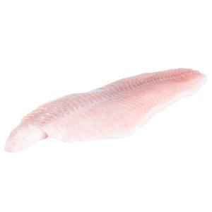 Catfish Fillet