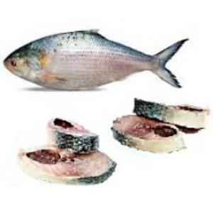 Hilsa Curry Cut