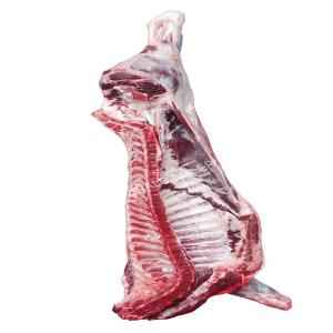 Half Lamb
