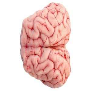 Lamb Brain