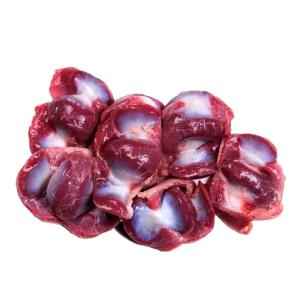 Chicken Gizzard