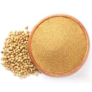 Lazzat Coriander Powder
