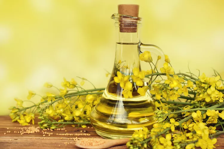 Natures Secret Canola Oil