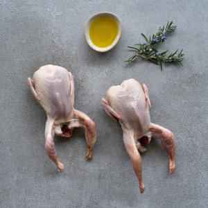 Putul Jumbo Quails