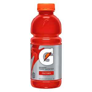 Gatorade Fruit Punch