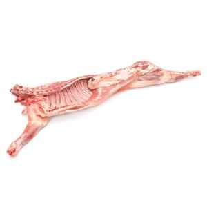 Lamb Half