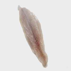 Catfish Fillet