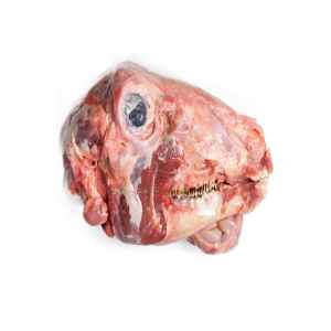 Offal Goat Head