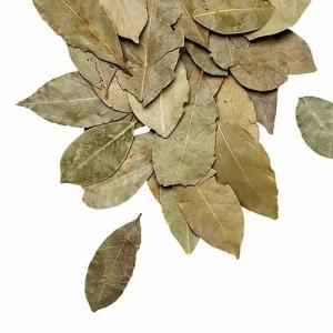 Dhanraj Bay Leaves