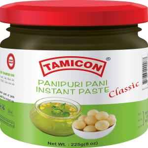 Tamicon Pani Puri Paste