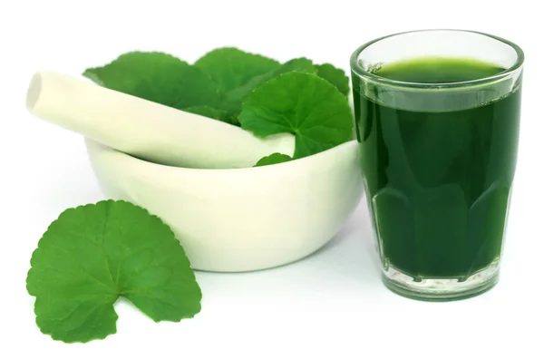Hans Brahmi Juice
