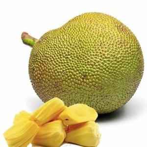 Jack Fruit 400g