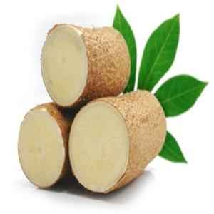 White Cassava