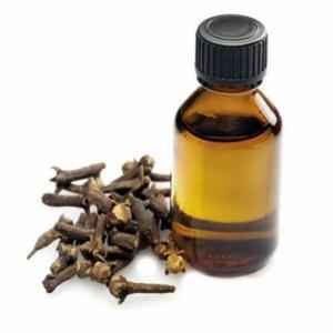MANZOOR CLOVE OIL